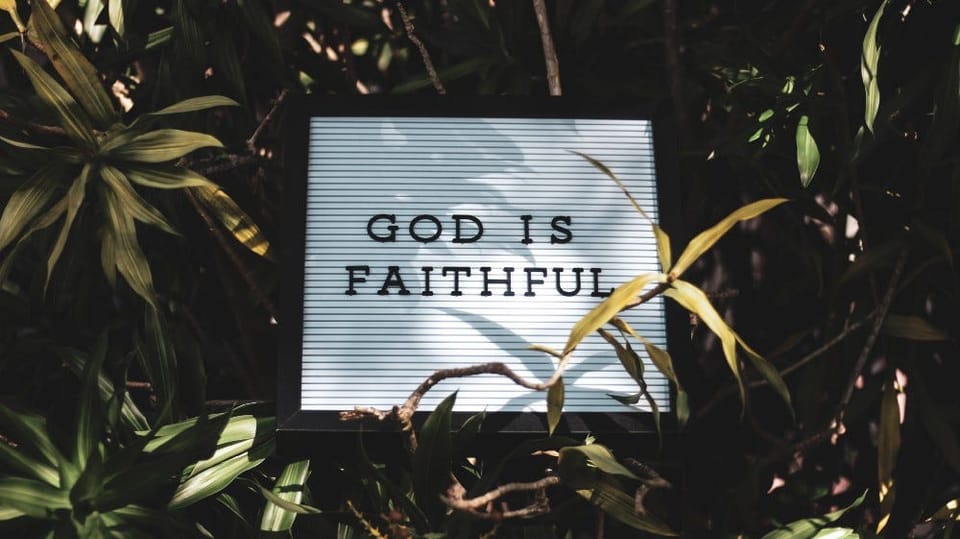 Faithfulness and Perseverance